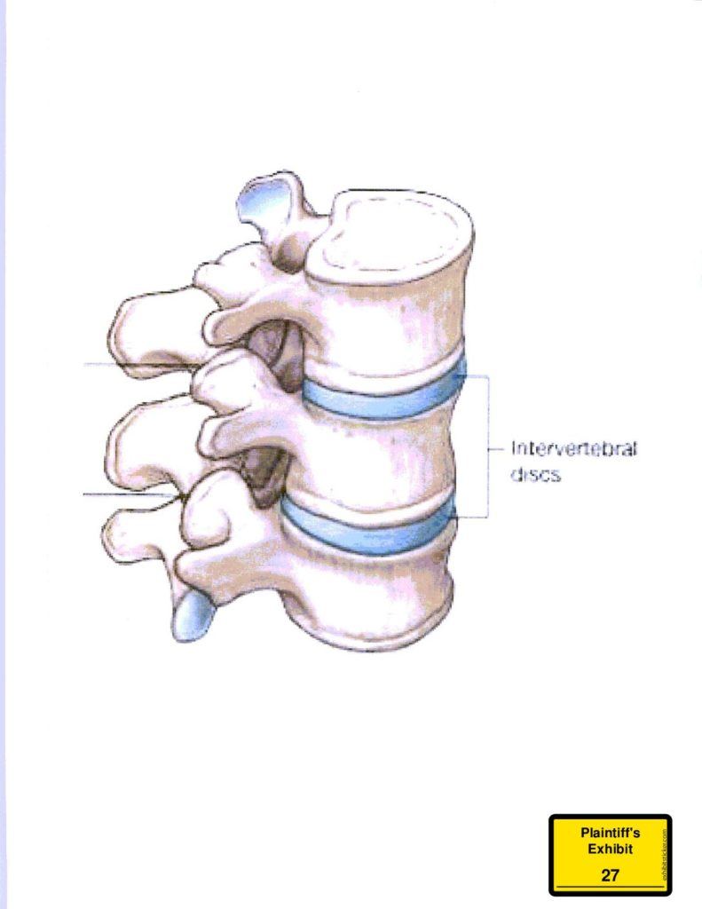 Medical-Diagram-of-Vertebral-Discs